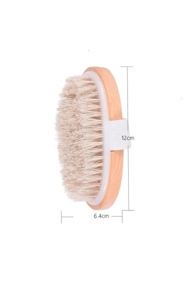 The light Beauty Natural Horsehair Brush Cellulite Brush