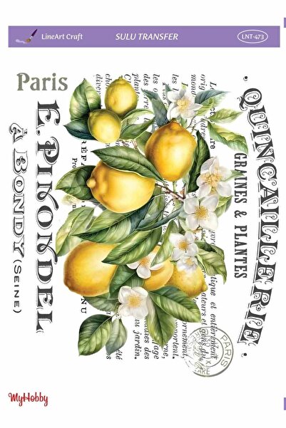 LİNEART Lineart Sulu Transfer No:LNT473 25x35cm
