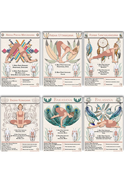 Yoga Hareketleri 60 Yoga Pose Physical Cards | Yoga Anatomy Deck | Includes Sanskrit, Instructions