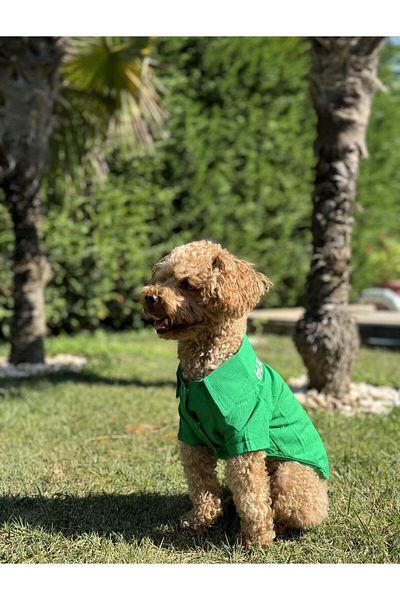 salya store Good Vibes - Linen Summer Dog Shirt Green (Small Breeds)