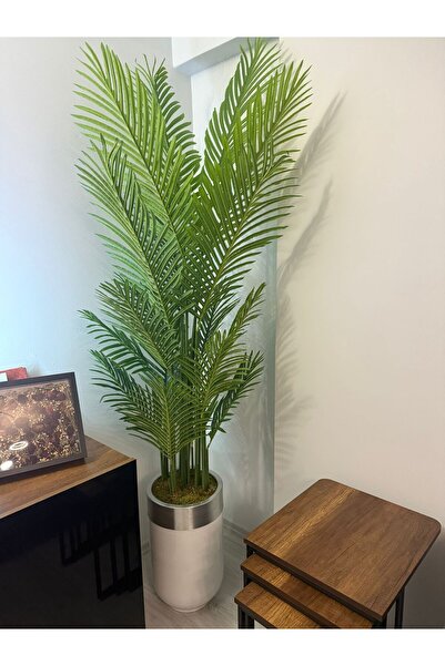 İremÇiçekçilik Yapay Çiçek Uygula Yapay Ağaç Salon Çiçeği 210 Cm 18 Yaprak Areka