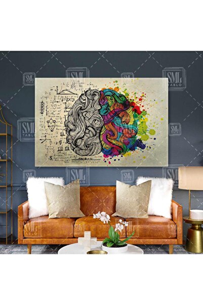 SML TABLO Sağ Beyin Renkli Bölgeleri Yaratıcı Duygusal Görsel Sol Beyin Mantı...