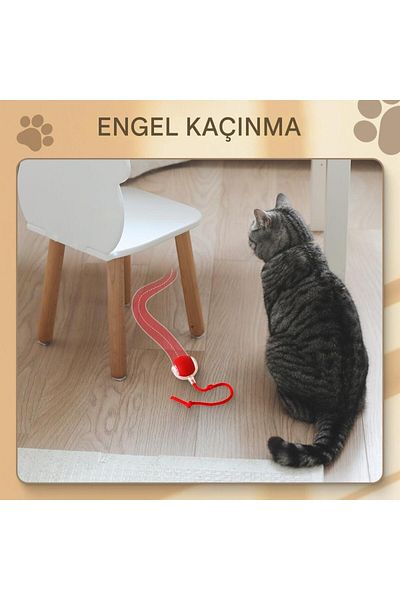 Generic Smart Automatic Moving Cat and Dog Toy |   Silicone Material, Charged, Three Modes