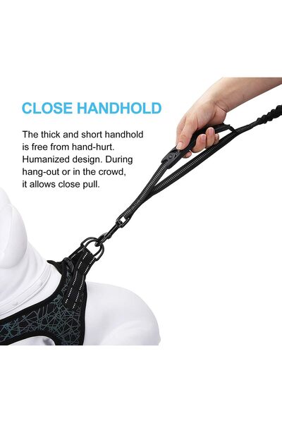 Arabest Dog Leash,with Comfortable Sponge Non Slip Grip Padded Handle,Two Handles,for Naughty Dogs Training