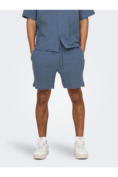 Only & Sons Shorts ONSTEL-PAS Normal geschnitten Shorts