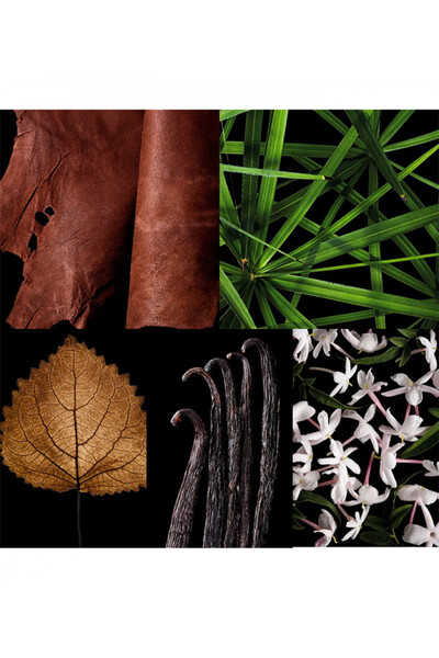 Carolina Herrera Platinum Leather EDP 100ml by Carolina Herrera