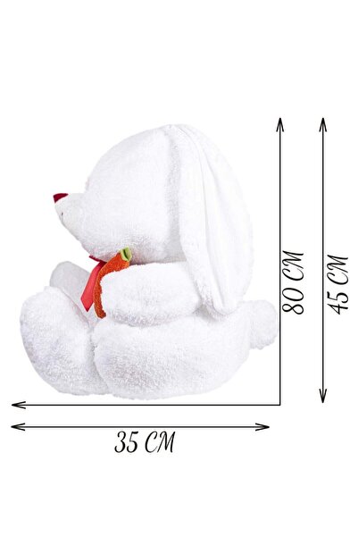 ÖZGÜNER Pandamkee Sevimli 80 Cm Elinde Havuç Tutan Tavşan