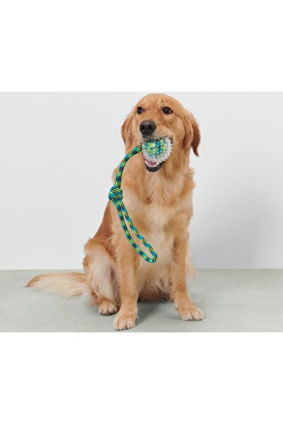 Tchibo Dog Toys