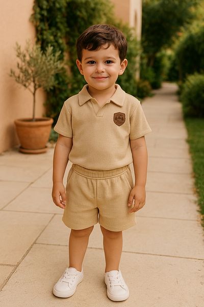 BT Baby Boys' Short Sleeve Polo Collar Tshirt and Shorts Summer Bottom Top Children's Set