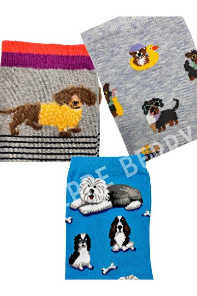 STEPPE BERRY 3 Pairs Dog Concept Boxed Socks Set