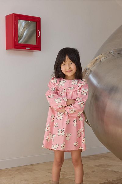 Tics Pink Ruffled Floral Patterned Dress