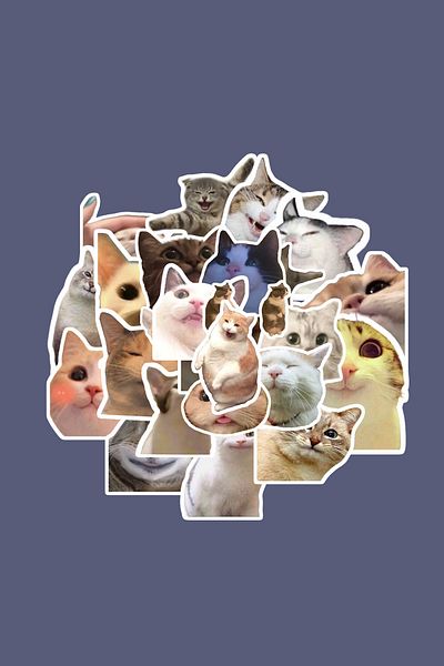 dadi ramba Happy Cats Sticker Pack - Bullet Journal - Agenda - Planner - Notebook - Laptop Sticker Decal