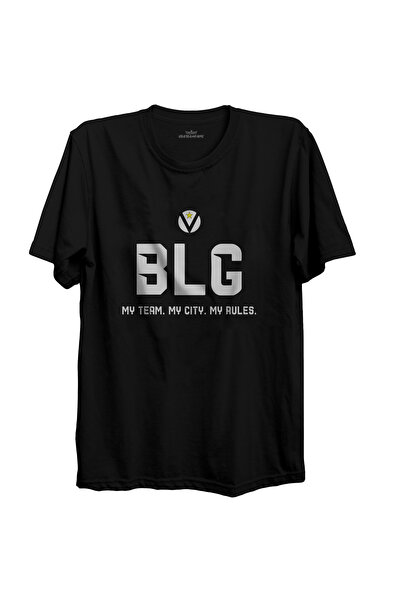 usateamfans Air Jordan Charlotte Hornets Hoodie