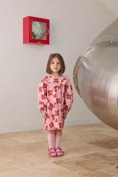 Tics Dusty Rose Ruffled Floral Patterned Dress