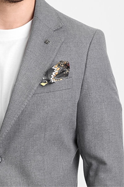 Frappoli Venüs Erkek Gri 4 Mevsim Rahat Kumaş Slim Fit Yarım Astarlı Spor Blazer Ceket