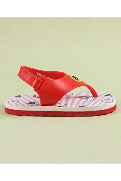 Babyoye Babyoye Flip Flops with Velcro Closure & Sea Life Print - Red