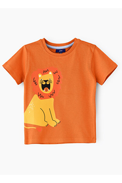 Basicxx Boys' Orange Lion Graphic Cotton T Shirt