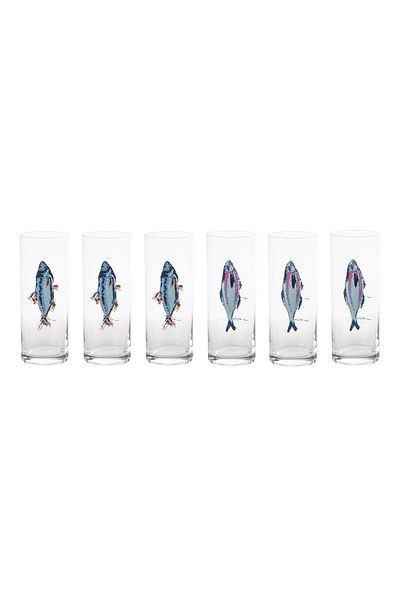 Mudo Home 6 Piece Fınny Raki Glass Set