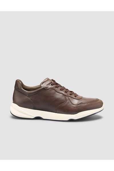 Cabani 100% Genuine Leather Brown Lace-Up Men's Casual Shoes