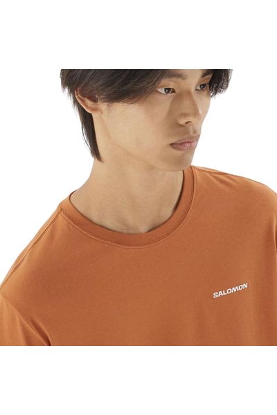 Salomon Logo Men's T-Shirt Sierra Lc2526500