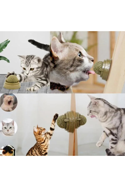 TTT Catnip Play Ball