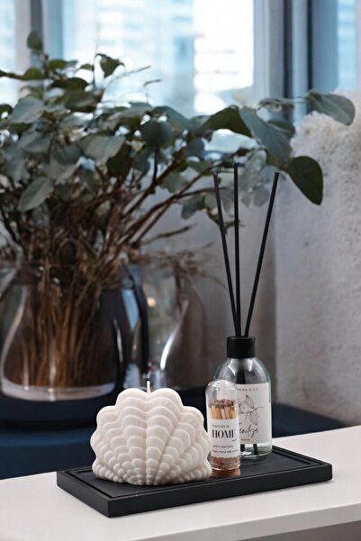 LUMİNA Dekoratif İstiridye Mum