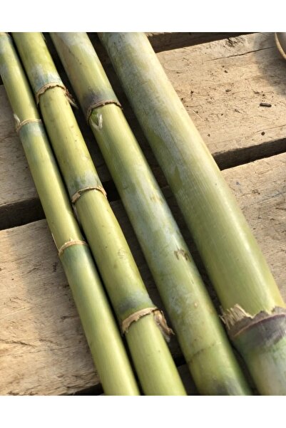 RUZGARCİCEK Rüzgar Yapay Çiçekçilik Bitki Destek Çubukları 10 adet 75 cm