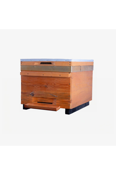 aslanpetek Çam Kuluçkalık – Standart Arı Kovanı