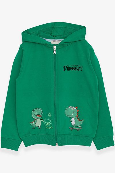 Breeze Boy's Cardigan Skateboard Dinosaur Printed Green Soft (1-4 YEARS)