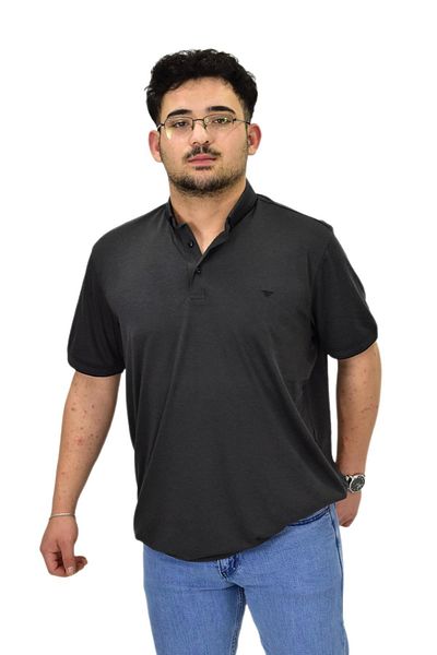 Raymons Men's Plus Size Polo Neck Mercerized T-Shirt T3000 Bgl-St04534