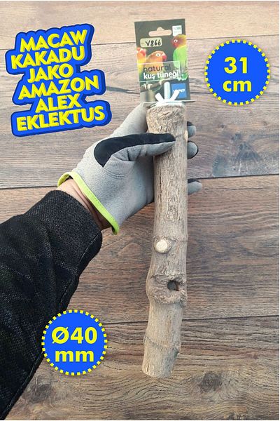 Vixpet Venty 31 cm - 40 mm Natural Parrot Perch |   Macaw, Cockatoo, Jako, Amazon, Eklektus, Alexander - V866