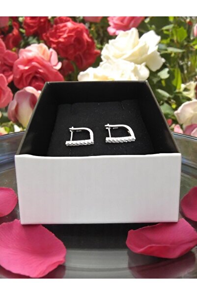 Genel Markalar 925 Ayar Gümüş Su Yolu Model Zirkon Taşlı Küpe Şık ve Zarif Hediyelik Takı