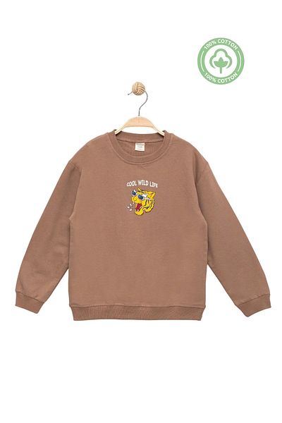 Divonette Boy's 100% Cotton Brown Sweatshirt Printed - Sports Children's Clothing