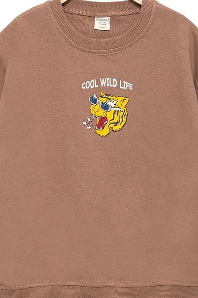 Divonette Boy's 100% Cotton Brown Sweatshirt Printed - Sports Children's Clothing