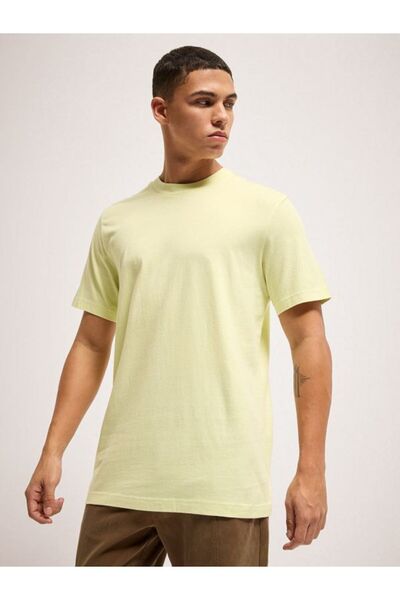 The Bear House Men's T-Shirt – Soft, Comfortable & Perfect for Casual & Everyday Wear