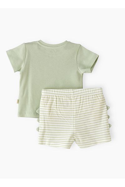 Basicxx Boys' Tiger Print T Shirt & Striped Dino Back Shorts Set