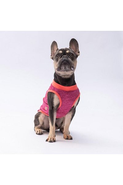 Pawstar Vişnerengi the Sun Cat Dog T-Shirt - Cat Dog Apparel