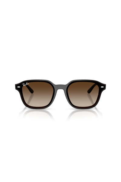 Ray-Ban 0Rb 4458D 714/13 65