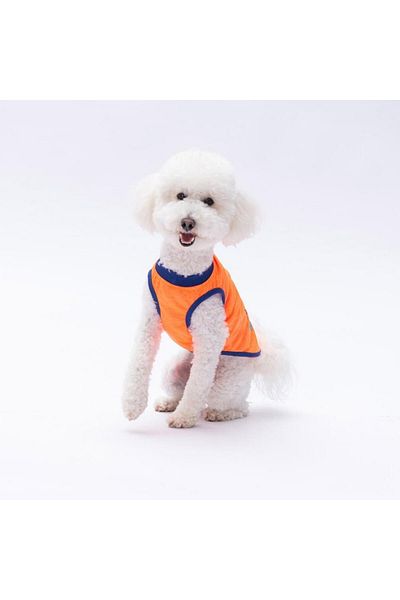 Pawstar Neon Orange Happy Day Cat Dog T-Shirt - Cat Dog Apparel