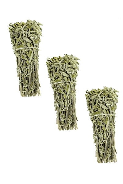 Aktar Gökhanefendi Dağ Mahsulü Taze Adaçayı 3 Demet Tütsü-Çay