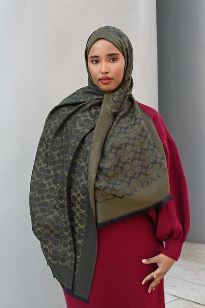 Pull Scarfs Imported Wool Silk C Pattern Shawl - Khaki