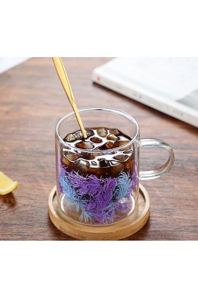 ECARLA Cană cu flori uscate, violet, pereți dubli, sticlă borosilicată, 300 ml