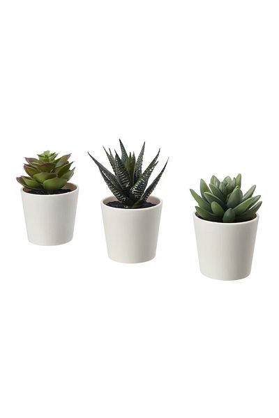 FEJKA Artificial Plant with Pot, Indoor/Outdoor Succulent Tree, 6 cm 3 pieces