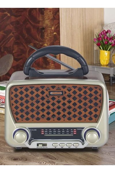 Denx راديو هاي فاي محمول بثلاث قنوات FM - AM، بلوتوث، AUX، بطاقة TF، قرص فلاش USB