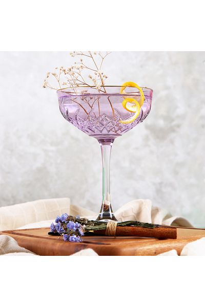 ADAMODART Lilac Deği Supported Coupe Cocktail Glass & Goblet Set of 2