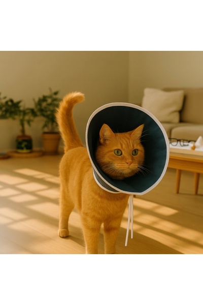 Adı: Kedi Bez Yakalık - 10 Adet