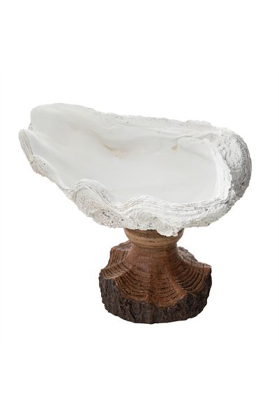 Mudo Concept Shell Decorative Bowl White 57X40X27Cm