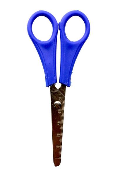 BEESTAR Paper Scissors with Ruler & 13 Cm-Navy Blue