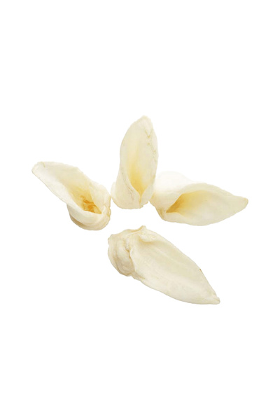 Redbarn مكافأة الكلاب بأذن الحمل - 1 قطعة