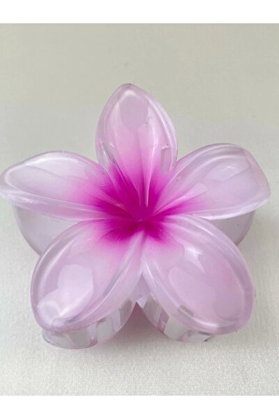 TakıDolabı مشبك اللوتس